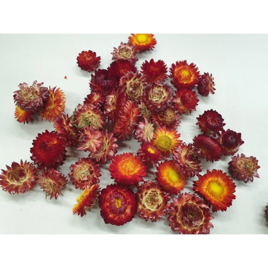 HELICHRYSUMKOPPEN ROOD NATUREL +/-40GR