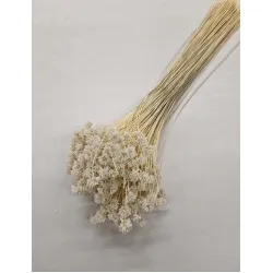 HILL FLOWER BLANCHI +/-150GR