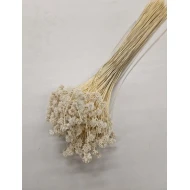 HILL FLOWER GEBLEEKT +/-75GR BOPP/kraft hobbyverpakking