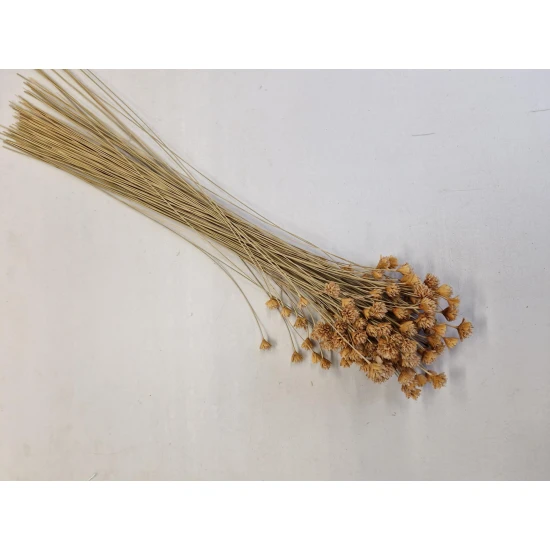 HILL FLOWER NATUREL +/-75GR BOPP/kraft