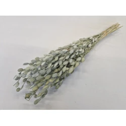 HONESTY MINI NATURAL +/-80GR