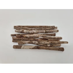 CINNAMON WILD 20CM NATURAL +/-100GR