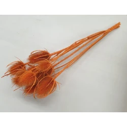 CHARDON THISTLE ORANGE 1/2 BOPP/kraft Small packaging