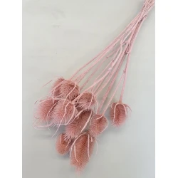 CHARDON THISTLE PINK 1/2 BOPP/kraft Small packaging