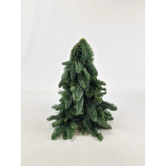 CHRISTMAS TREE NOBILIS 30CM