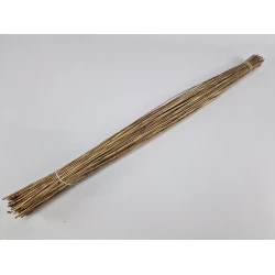 CANNE OR 80CM +/-1KG