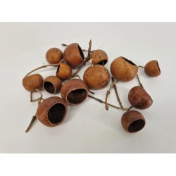 KURUCHI FRUIT NATURAL 100PCS