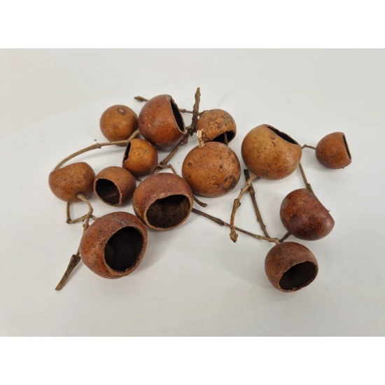 KURUCHI FRUIT NATUREL
