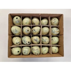 OEUFS DE CAILLE VERT PASTEL 60PCS
