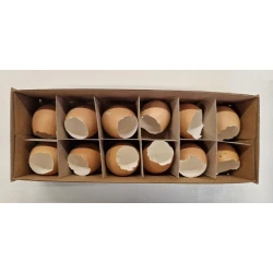OEUFS DE POULET OUVERT BRUN 12PCS