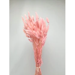 LAGURUS OVATUS BABY PINK +/-100GR BOPP/kraft Small packaging