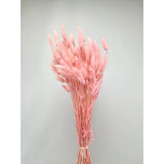 LAGURUS OVATUS BABY ROZE +/-100GR BOPP/kraft hobbyverpakking