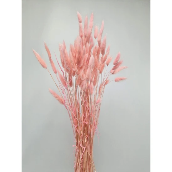 LAGURUS OVATUS BABY ROZE +/-50GR BOPP/kraft hobbyverpakking