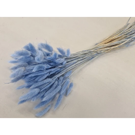 LAGURUS OVATUS LAVENDEL +/-50GR BOPP/kraft hobbyverpakking