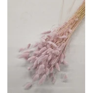 LAGURUS OVATUS LICHTROZE +/-100GR BOPP/kraft hobbyverpakking