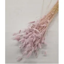 LAGURUS OVATUS LIGHT PINK +/-50GR BOPP/kraft Small packaging