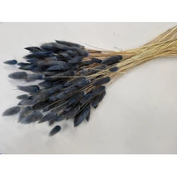 LAGURUS OVATUS MOSS GREY +/-100GR BOPP/kraft Small packaging