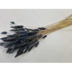 LAGURUS OVATUS MOSS GREY +/-50GR BOPP/kraft Small packaging