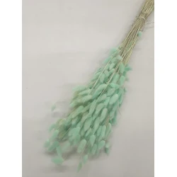 LAGURUS OVATUS MINT +/-50GR BOPP/kraft Small packaging