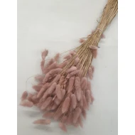 LAGURUS OVATUS OLD PINK +/-100GR BOPP/kraft Small packaging