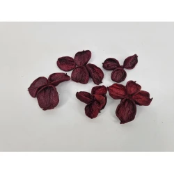 LANDLOTUS  BORDEAUX 15PCS