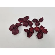 LAND LOTUS BORDEAUX 4PCS