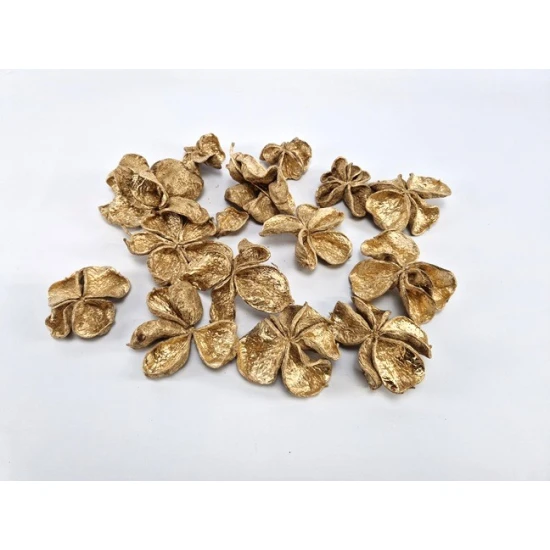 LANDLOTUS  GOUD 15ST
