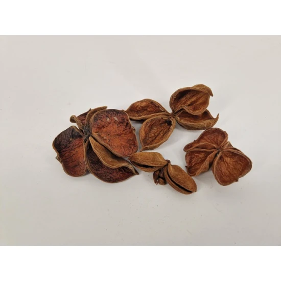 LANDLOTUS NATUREL 4ST