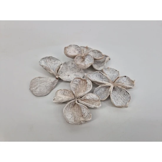 LANDLOTUS WHITE WASH 4ST
