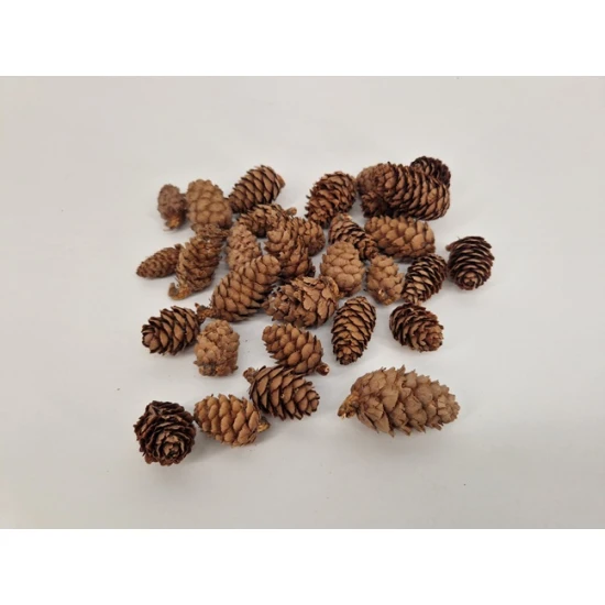 LARIX NATURAL