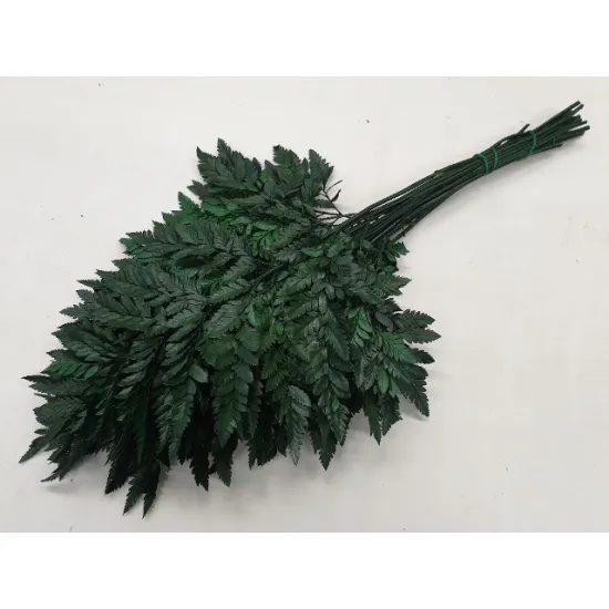 FOUGÈRE STABILISE VERT 5PCS BOPP/kraft