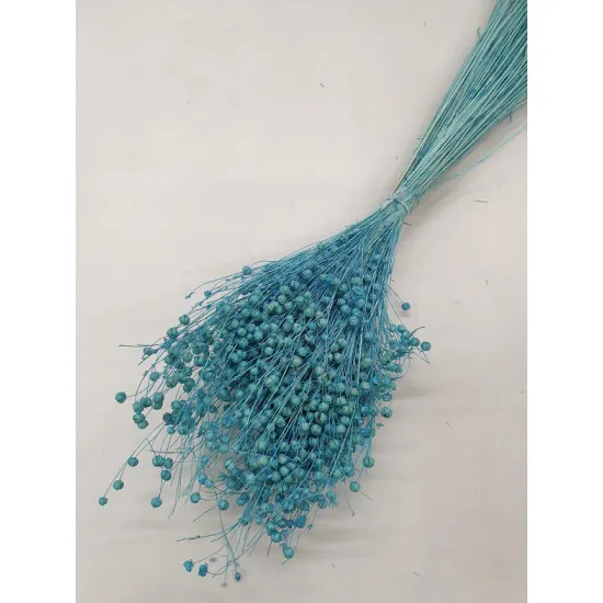 LINUM (VLAS) AQUAMARINE +/-100GR