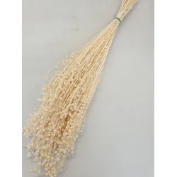 LINUM (VLAS) GEBLEEKT +/-50GR BOPP/kraft hobbyverpakking