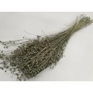 LIN ICE GREEN +/-50GR BOPP/kraft emballage hobby