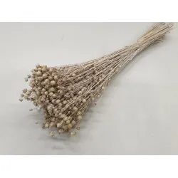 LINUM (FLAX) WHITE WASH +/-50GR BOPP/kraft Small packaging