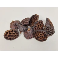 LOTUS MEDIUM NATURAL 10PCS