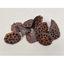 LOTUS MEDIUM NATUREL 50PCS