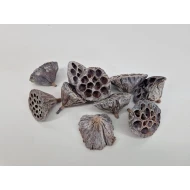 LOTUS MEDIUM WHITE WASH 10PCS