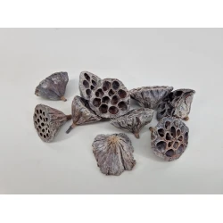 LOTUS MEDIUM WHITE WASH 10ST