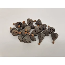 LOTUS MINI NATUREL 100PCS