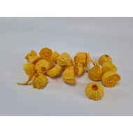 LUFFA SPIKY DEMI JAUNE 20PCS
