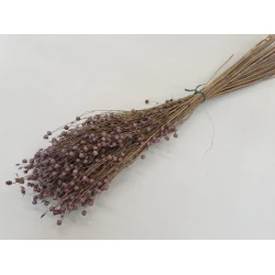 LINUM (FLAX) LILAC +/-50GR BOPP/kraft Small packaging