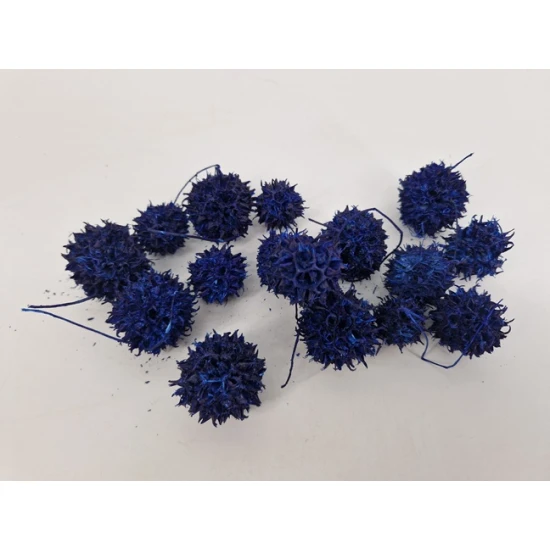 LIQUIDAMBAR (AMBERBAUM) BLAUW +/-150GR