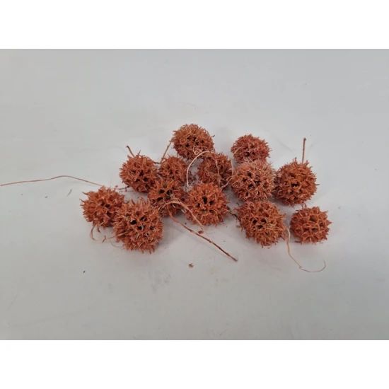 LIQUIDAMBAR (AMBERBAUM) POWDER ROSE +/-150GR