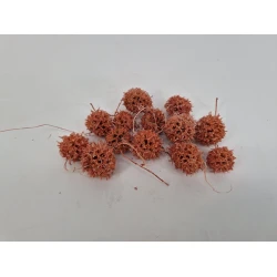 LIQUIDAMBAR (AMBERBAUM) POEDERROOS +/-40GR