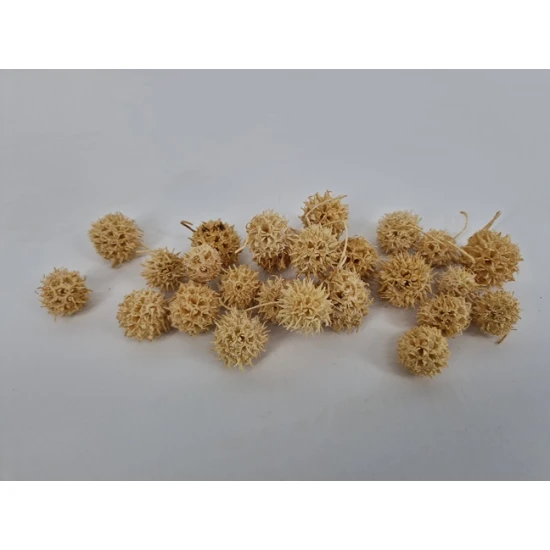 LIQUIDAMBAR GEBLEEKT
