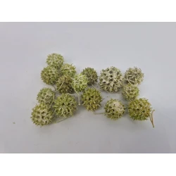 LIQUIDAMBAR GREEN WASH +/-40GR