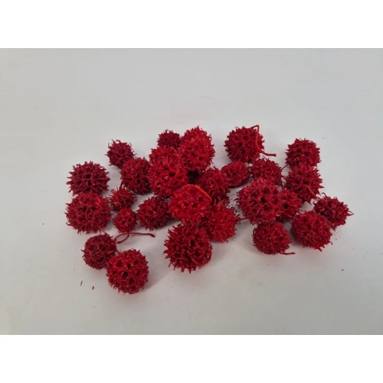 LIQUIDAMBAR ROOD