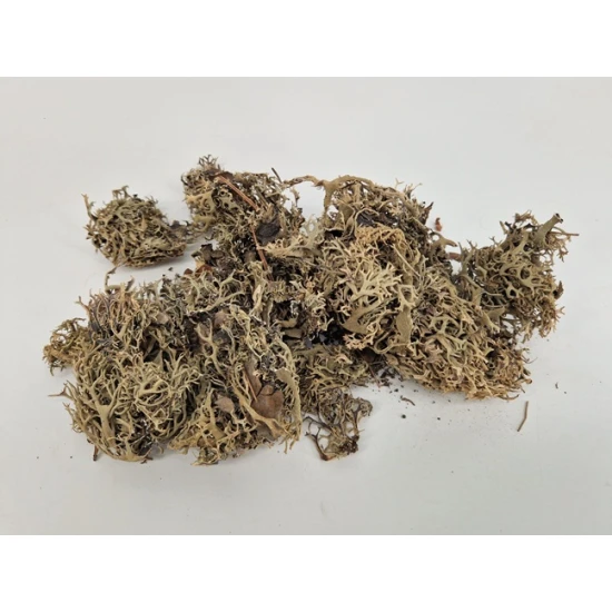 LITCHEN MOSS (GREY MOSS) +/-50GR