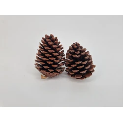 MARITIMA 10/14CM NATUREL 2PCS